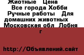 Жиотные › Цена ­ 50 - Все города Хобби. Ручные работы » Для домашних животных   . Московская обл.,Лобня г.